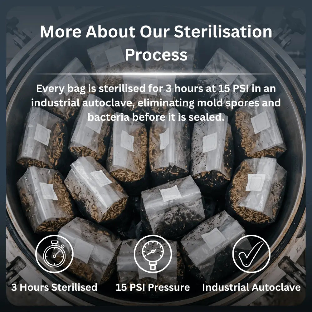 Industrial autoclave sterilising mushroom grow bags for 3 hours at 15 PSI, eliminating mold and bacteria for perfect results.