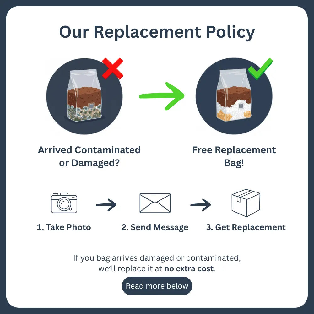 Free replacement policy for mushroom grow bags. If your bag arrives damaged or contaminated, we will send a free replacement.