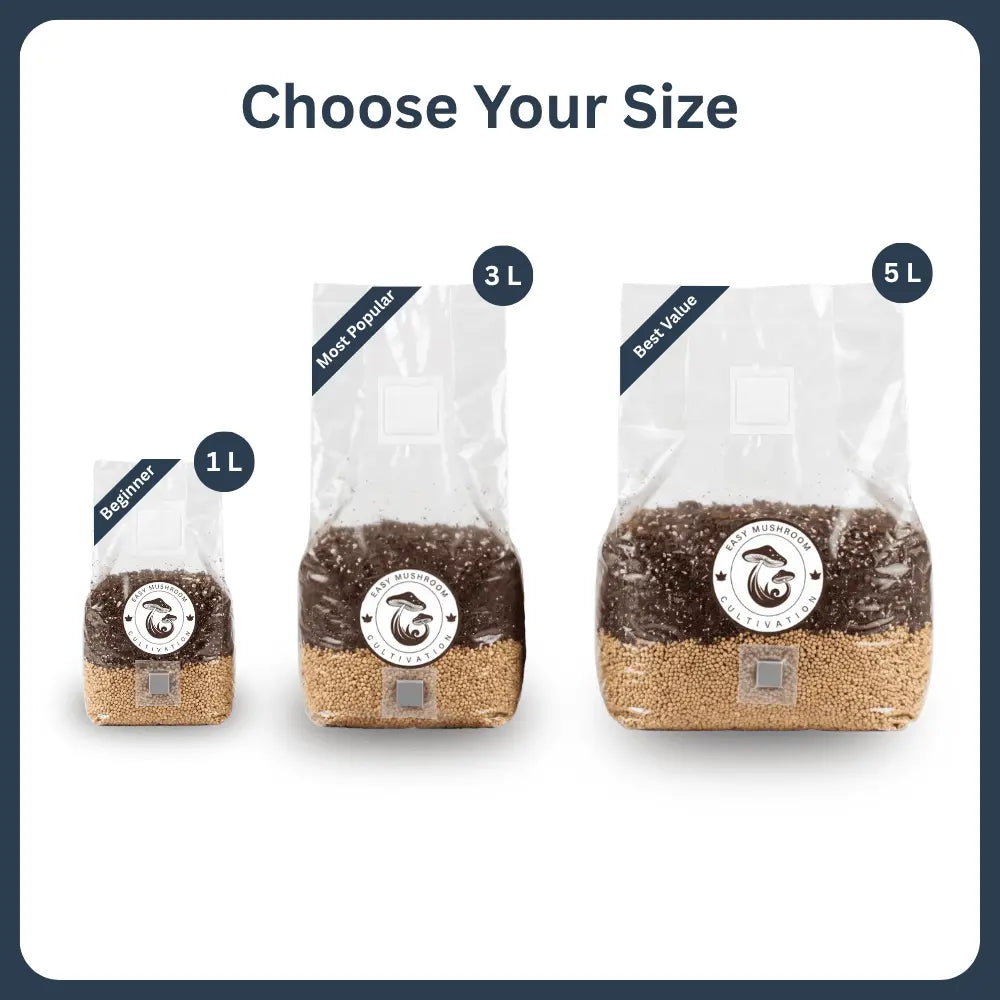 Choose the perfect mushroom grow bag size for your needs: 1L beginner size, 3L most popular size, or 5L best value bulk bag.
