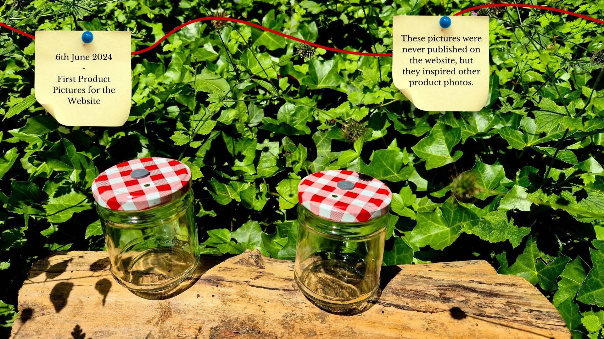 Two glass cultivation jars with red and white checkered lids sitting on a wooden log in a green outdoor environment. A sticky note dated June 6, 2024, notes that these inspired later website photography.