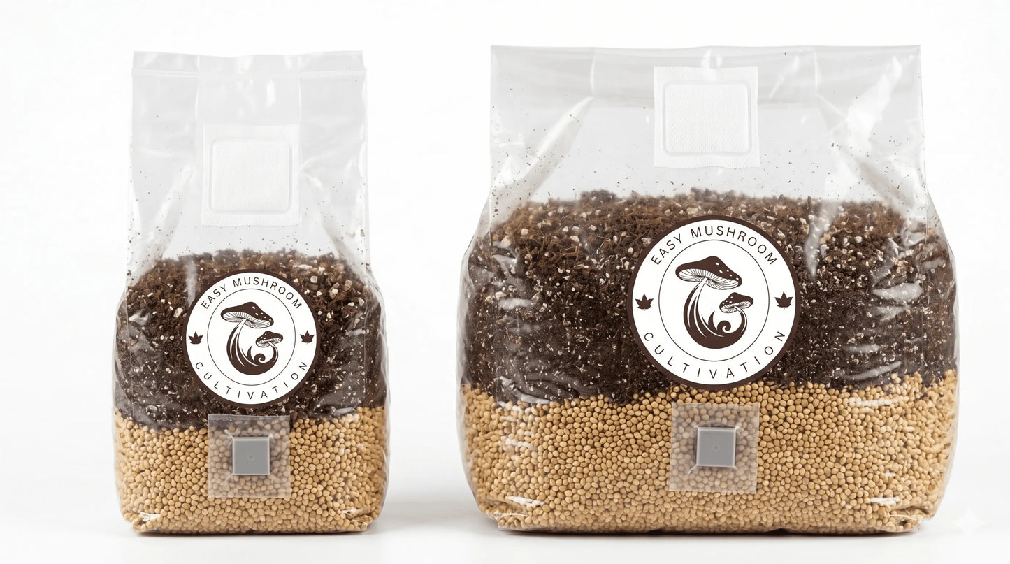 Side-by-side view of uncolonized 1 litre and 3 litre premium all in one mushroom grow bags showing grain and substrate.