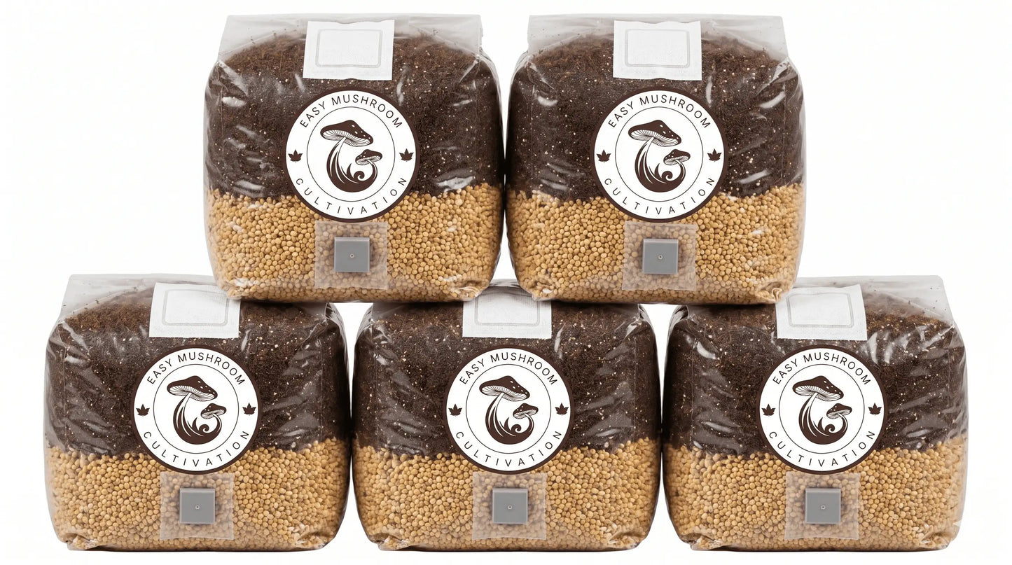 Five 1 litre premium all in one mushroom grow bags stacked together, displaying separated layers of grain and substrate.