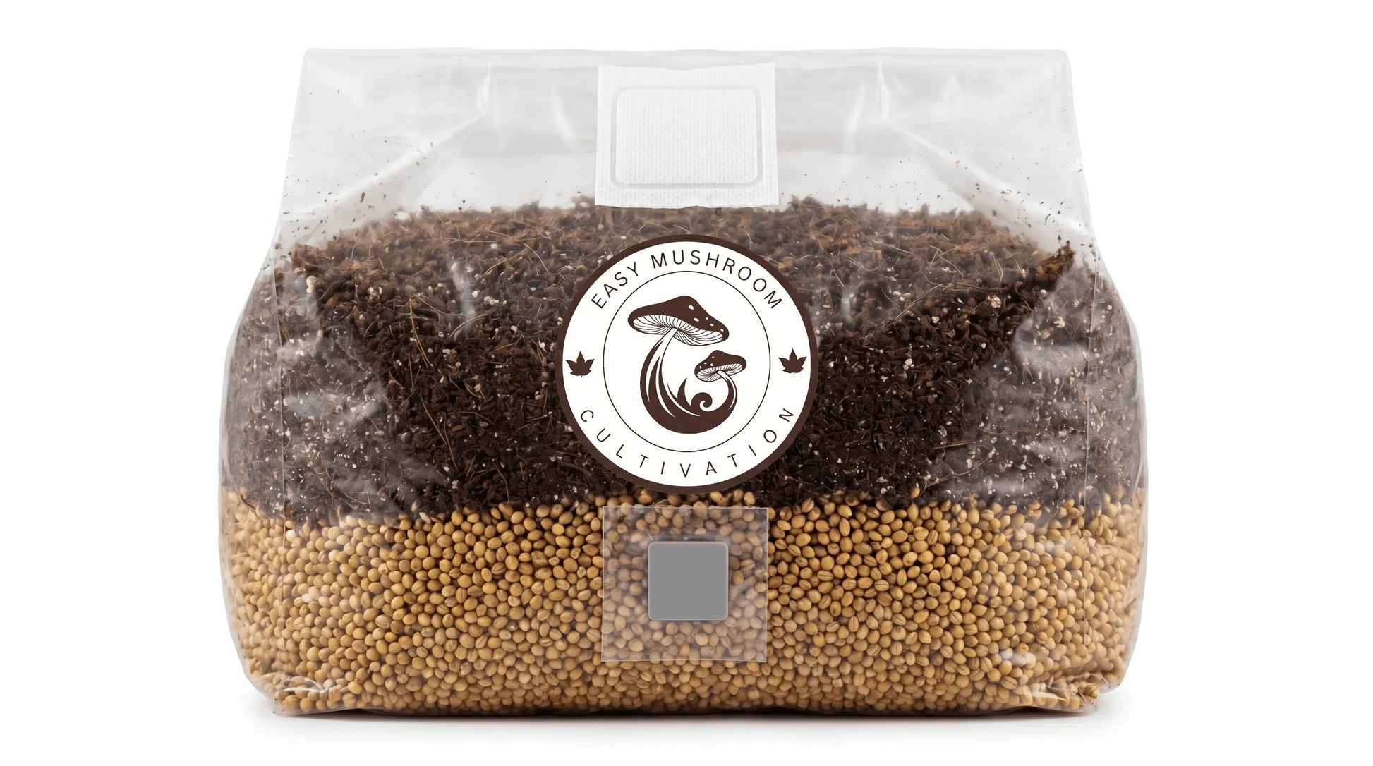 Close up of a single large 3 litre premium all in one mushroom grow bag showing distinct grain and substrate layers.