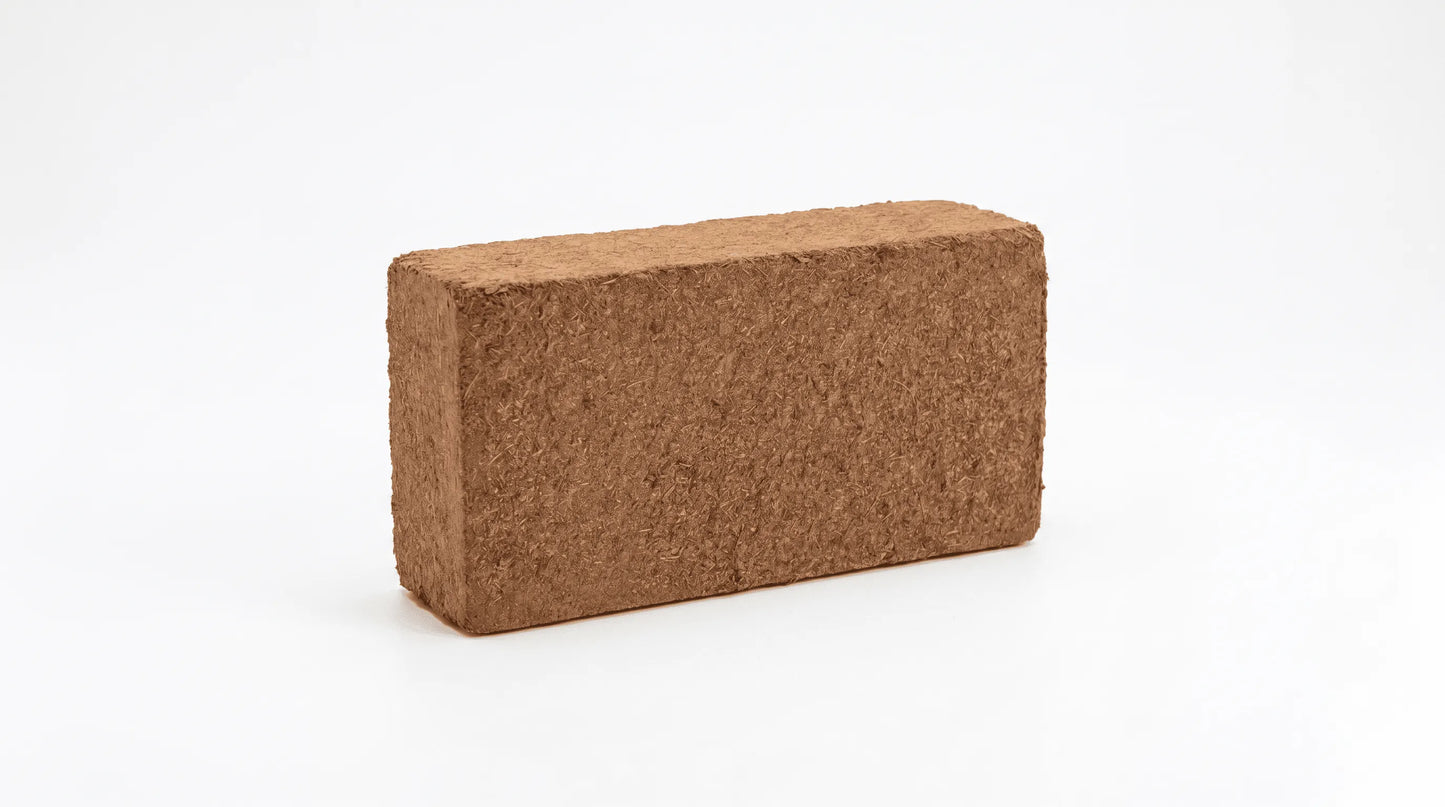 Single premium organic compressed coco coir brick for high-quality mushroom cultivation.