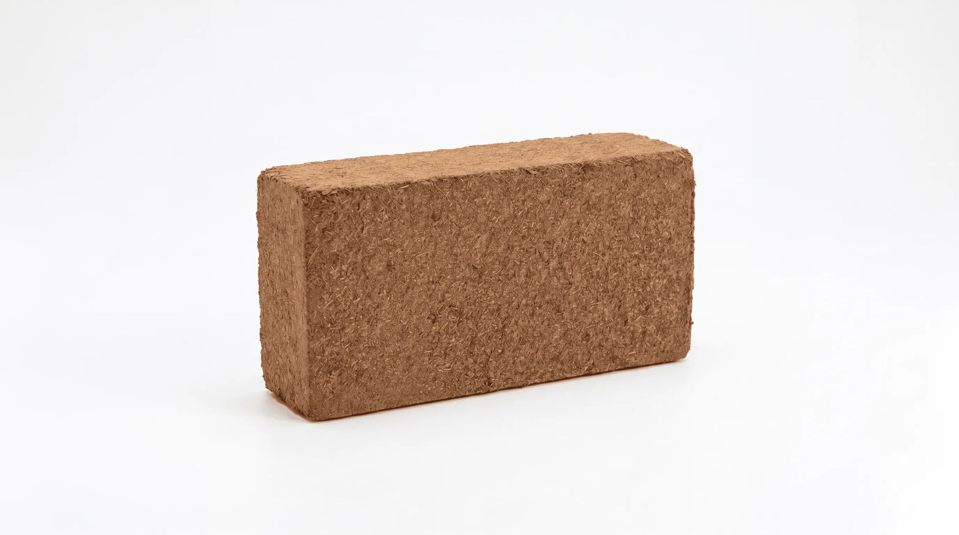 Single premium organic compressed coco coir brick for high-quality mushroom cultivation.