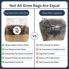 Compare our fresh, fully sterilised mushroom grow bags featuring full support against other standard suppliers' storage bags.