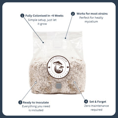 Fully colonized sterilized grain spawn bag showing healthy white mycelium and four key setup features for fast cultivation.