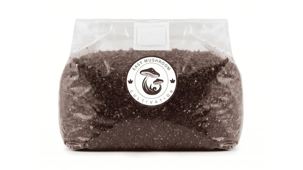 Wide view of a sterilized CVG mushroom substrate bag with injection port and filter patch.