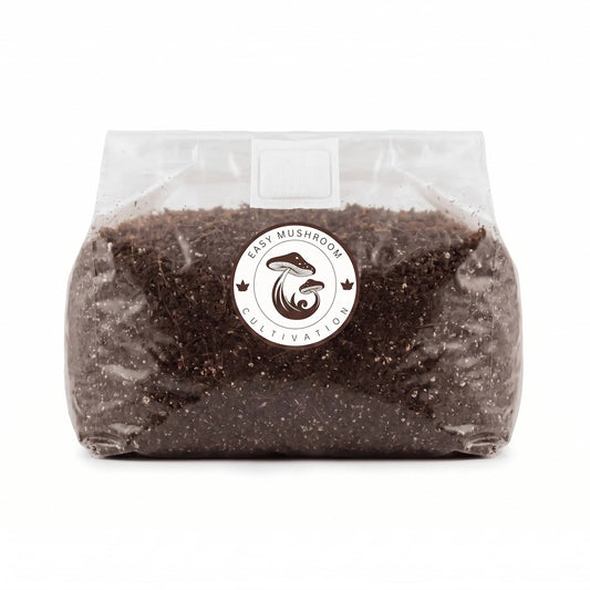 Wide view of a sterilized CVG mushroom substrate bag with injection port and filter patch.