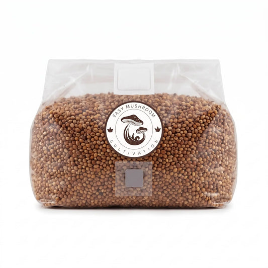 Wide image of a sterilized milo grain mushroom spawn bag designed for simple inoculation.