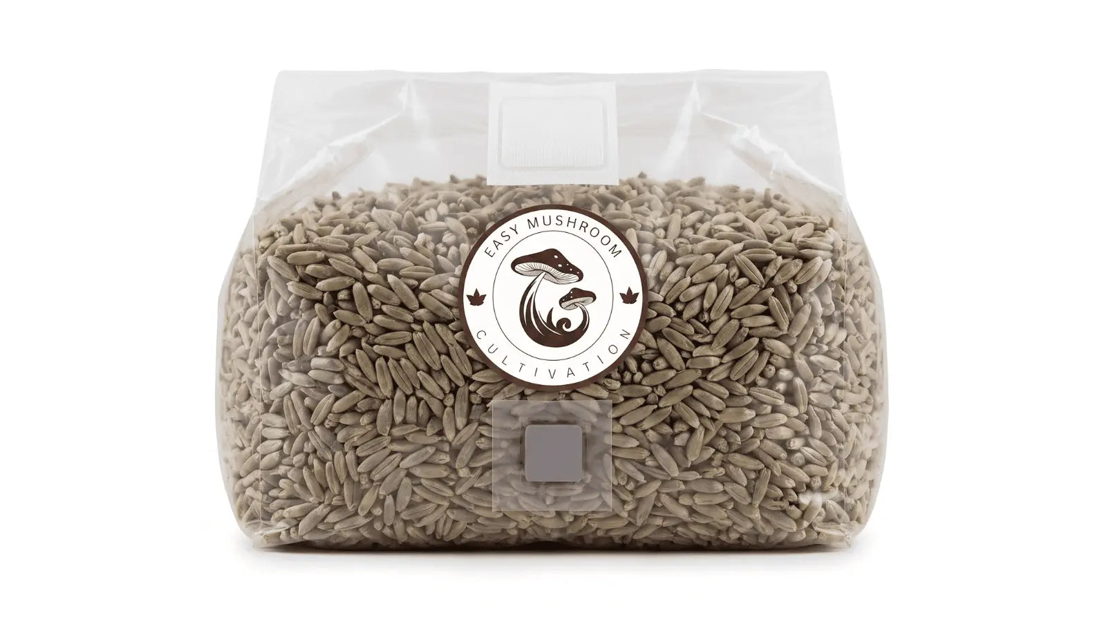 Sterilized rye berry grain spawn bag with injection port for professional mushroom cultivation.